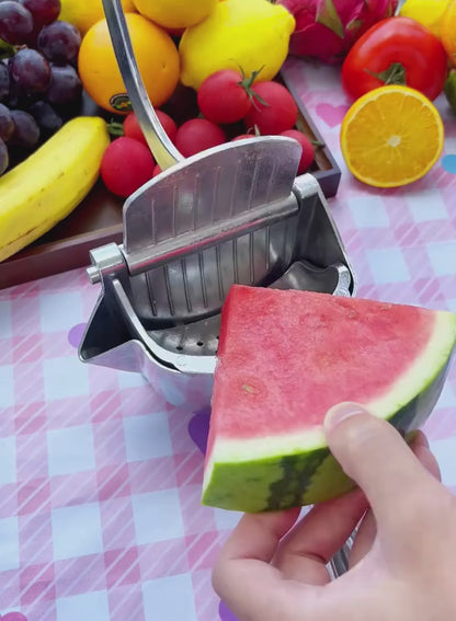 Exprimidor Potente de Presión en Acero Inoxidable